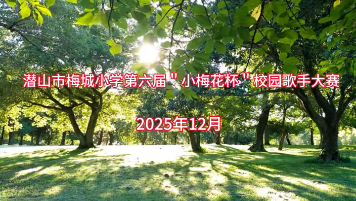 潜山市梅城小学第六届“小梅花杯”校园歌手大赛